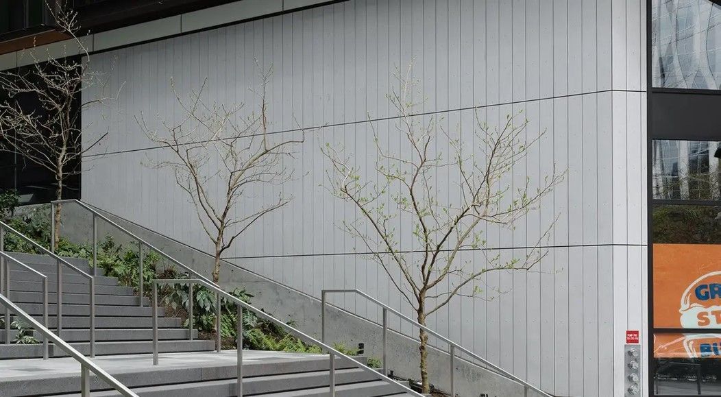 Two bare trees flank outdoor stairs leading up to a building with a white panel wall.