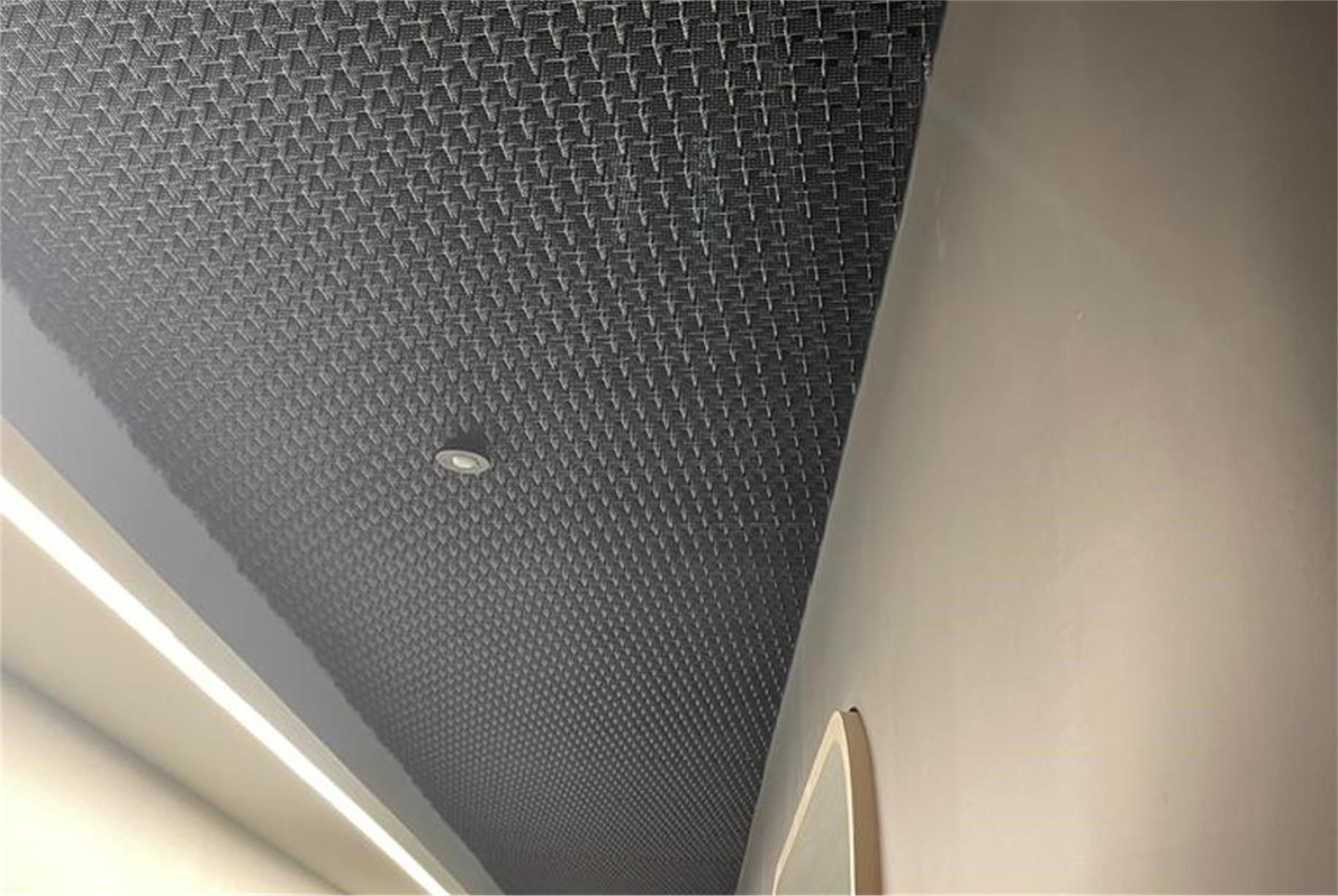 Metal mesh ceiling panel. White wall to the right. Light fixture in view below.