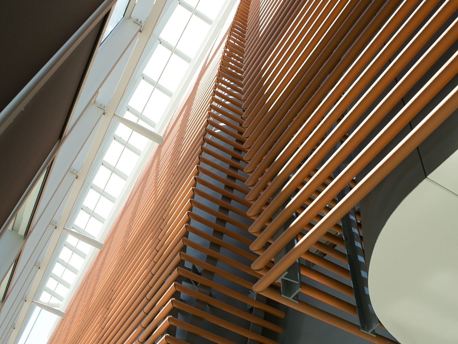 Interior view of a modern building with wooden slat walls and a skylight.