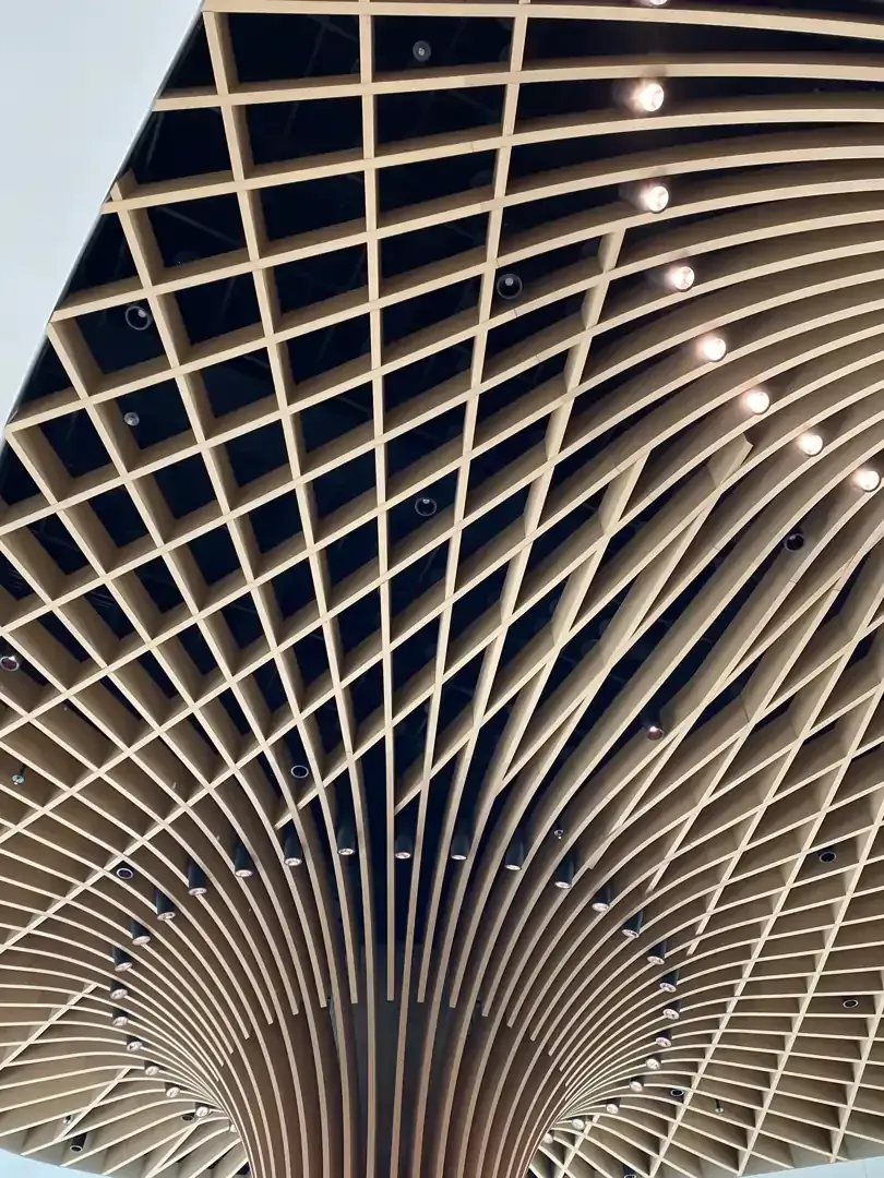 Wooden lattice ceiling with curving and grid patterns, recessed lighting.