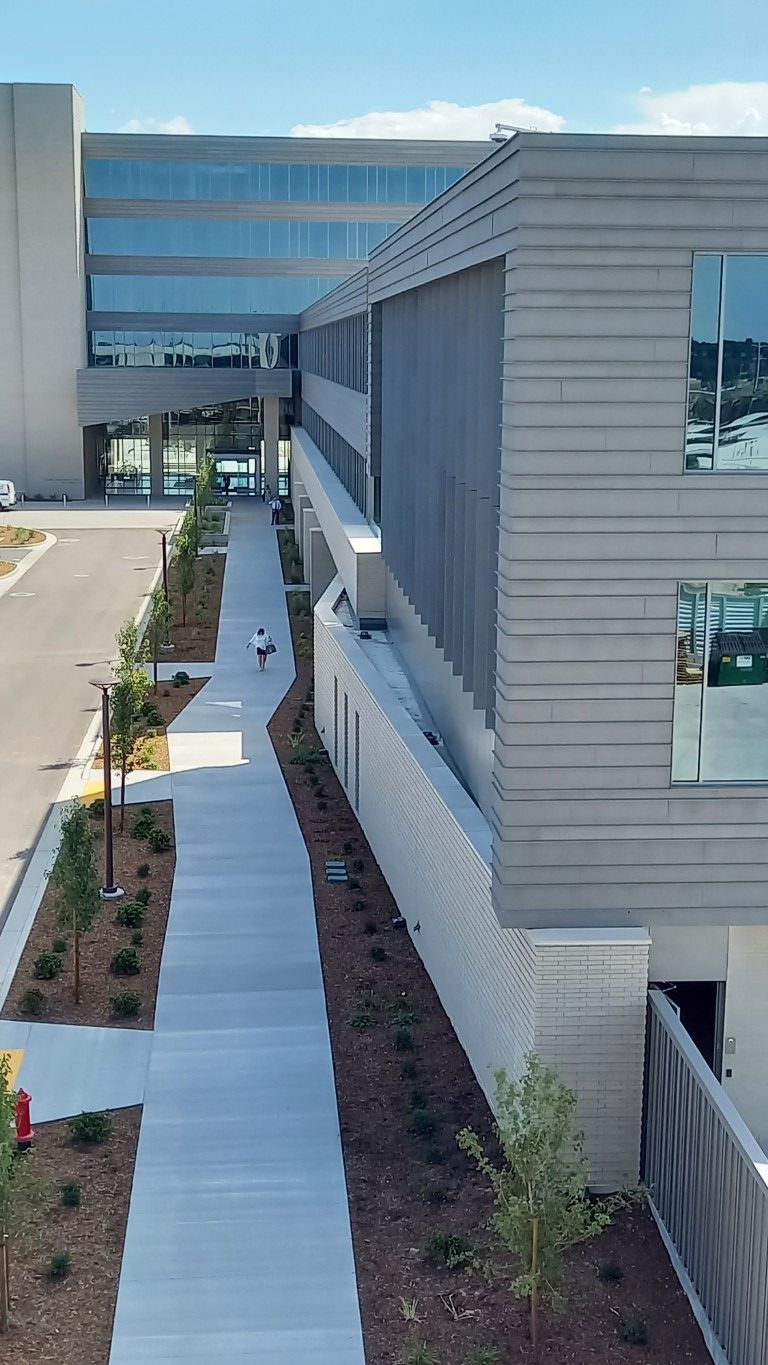 Gray and glass modern building with a long pathway lined with small trees and bushes.