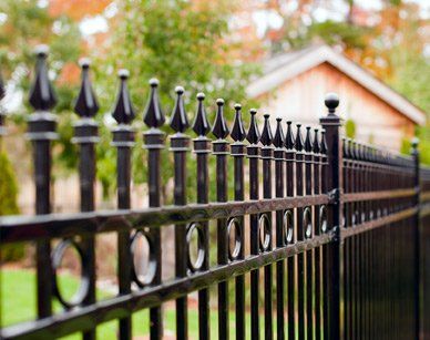 Ornamental Steel Gate