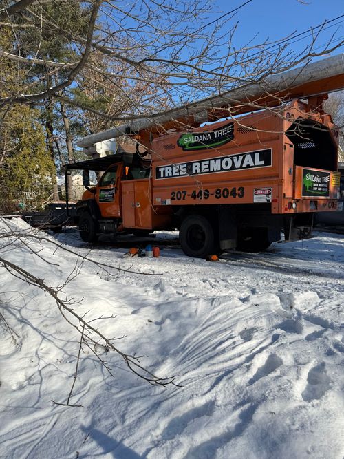 Orange tree removal truck in snowy yard with trees overhead