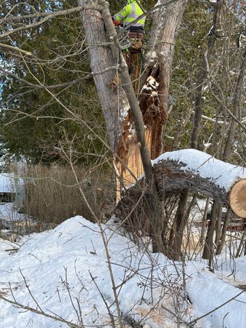 Worker in safety gear cutting a tree trunk in a snowy wooded area