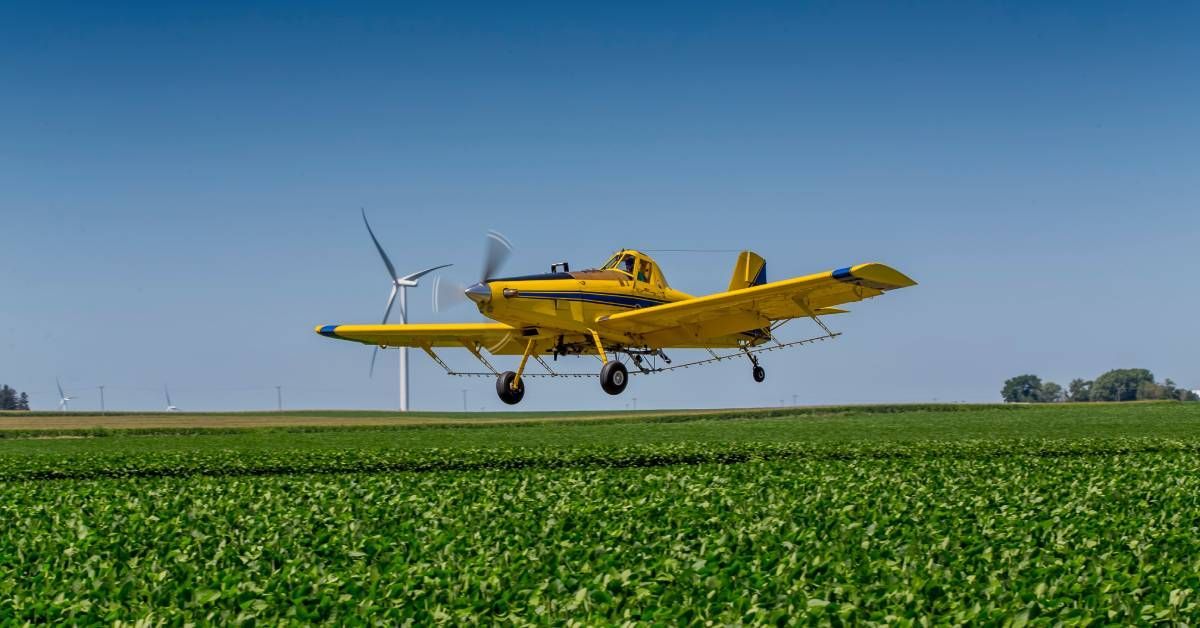 A pilot flies a yellow crop duster over green crops on a sunny day while wind turbines spin behind them.