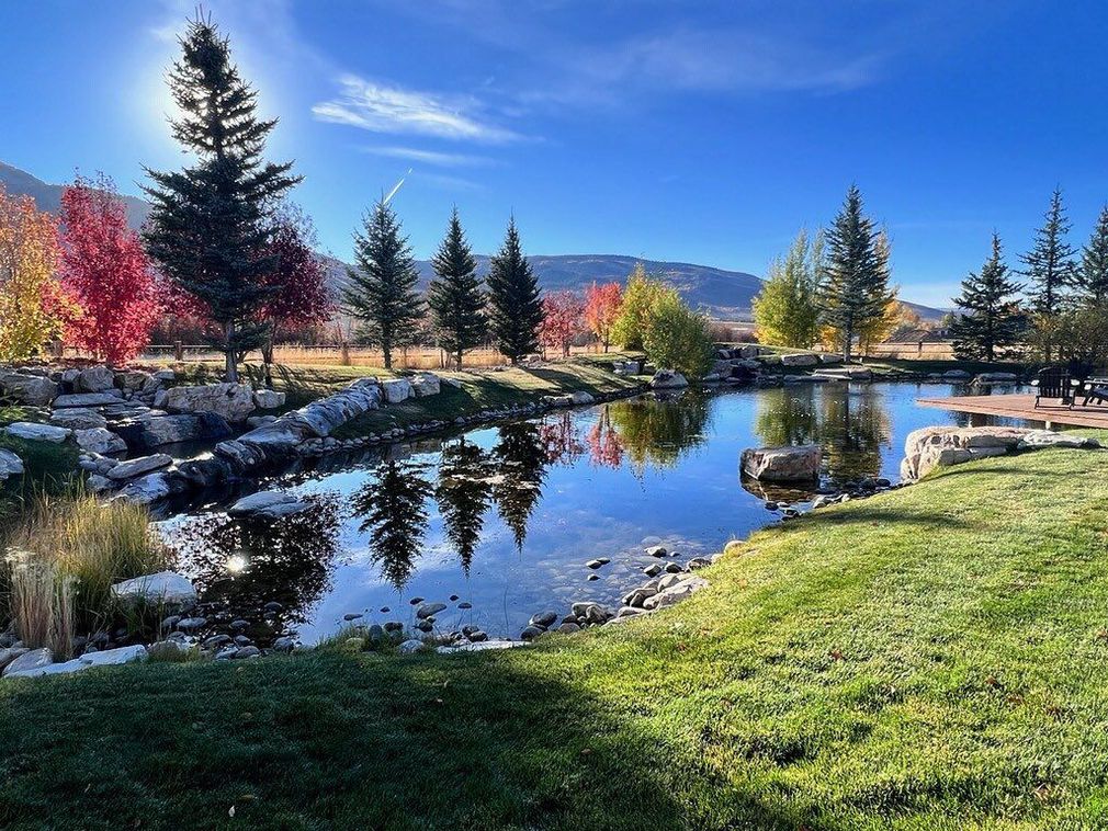 A river surrounded by trees and rocks in a park on a sunny day.