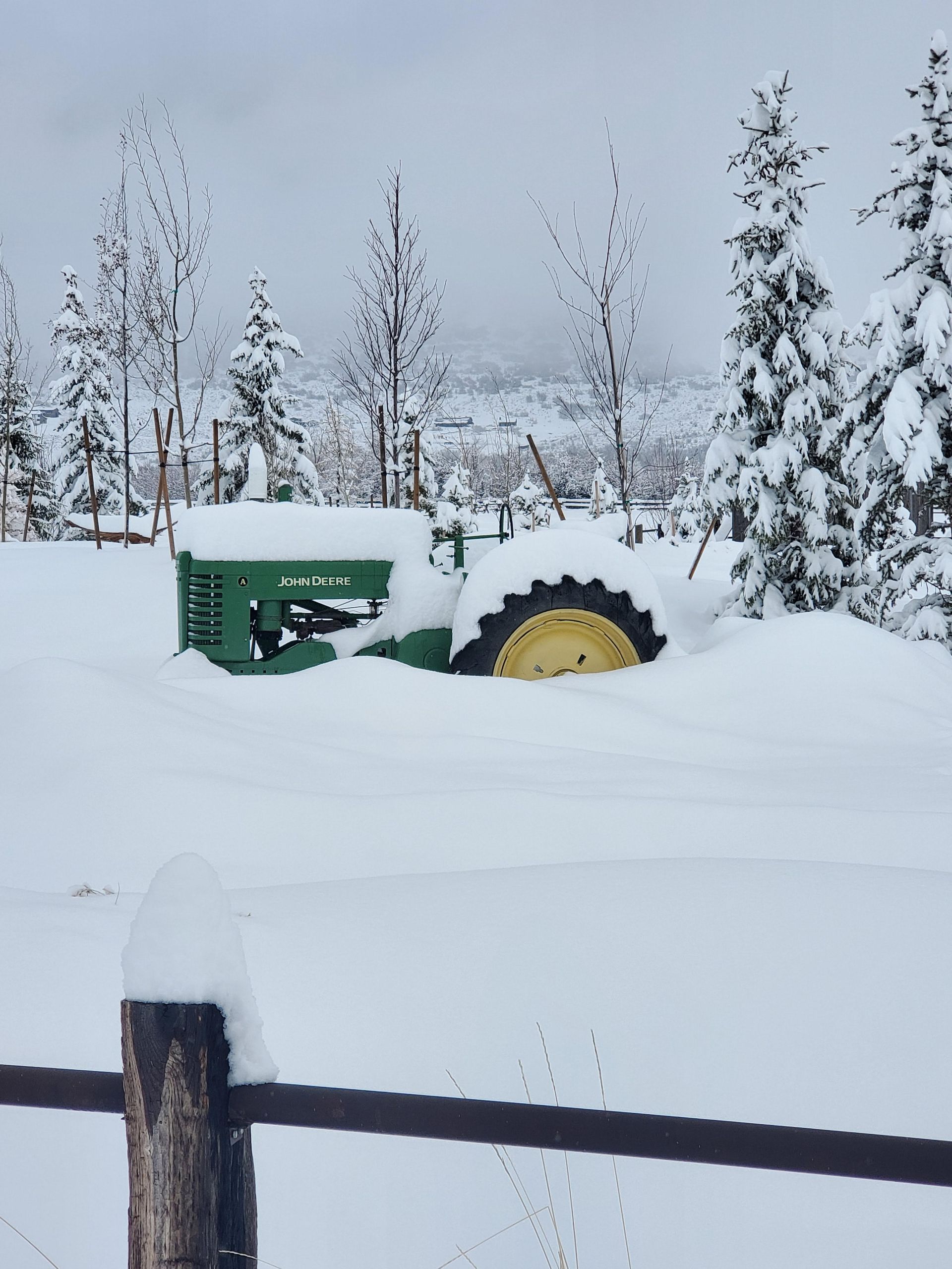 Green tractor partially buried in deep snow, surrounded by trees and fence.