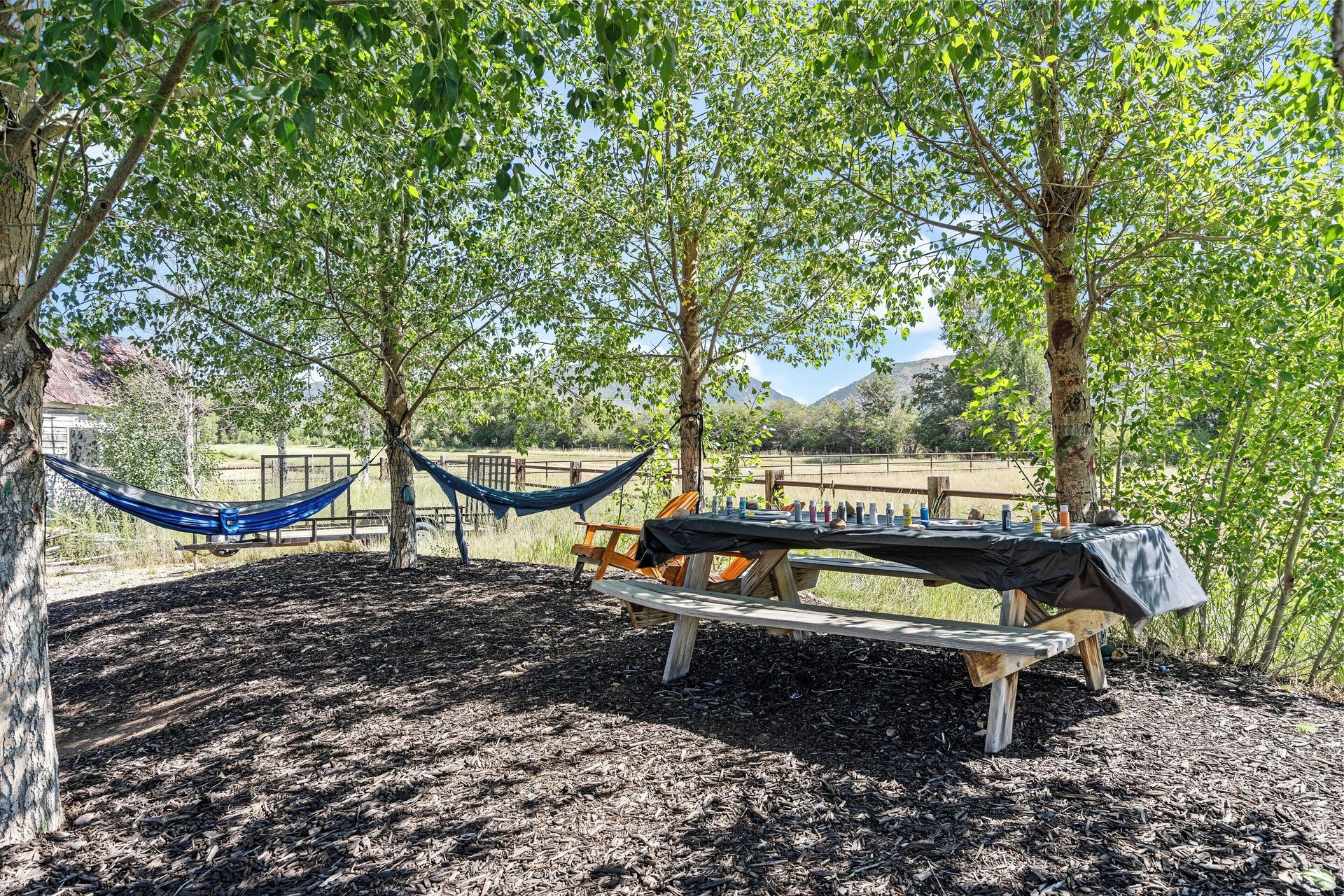 Picnic table under trees with items displayed. Two hammocks hung nearby, yard with a fence.