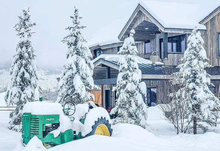Snow-covered green tractor and evergreen trees in front of a wood-sided house during winter.