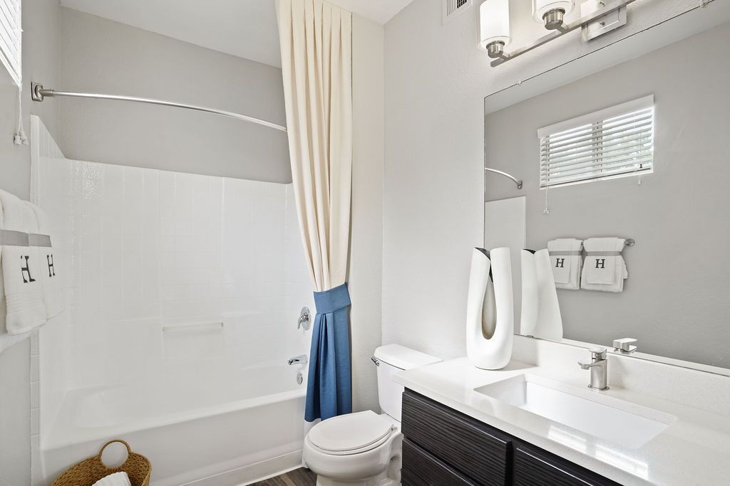 Bathroom with white sink and vanity, mirror, toilet, and a bathtub with a shower curtain.