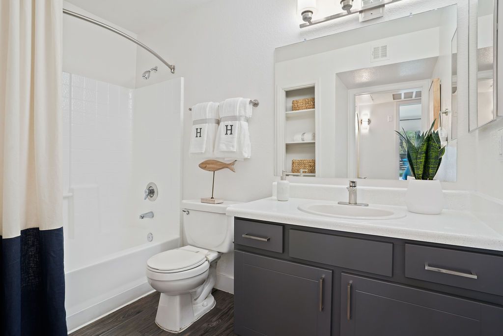 Modern bathroom with white vanity, dark gray cabinets, large mirror, toilet, and tub with shower curtain.