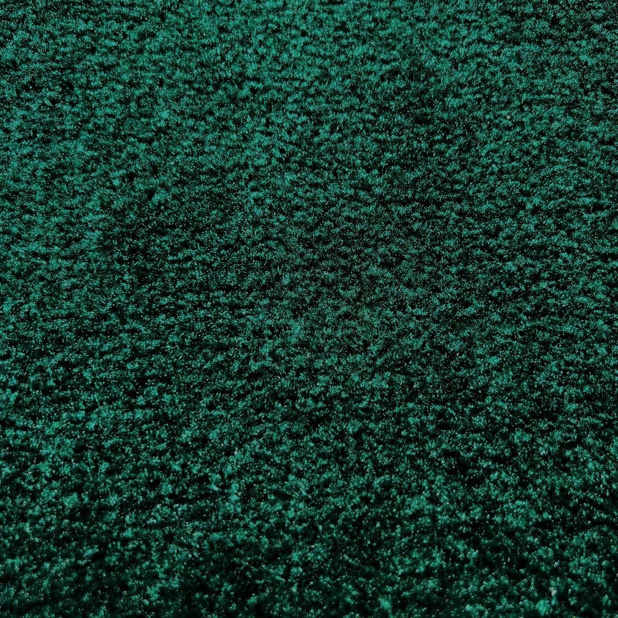 Las Vegas Event Flooring carpet samples showing the Carnival Carpet in the Emerald color.