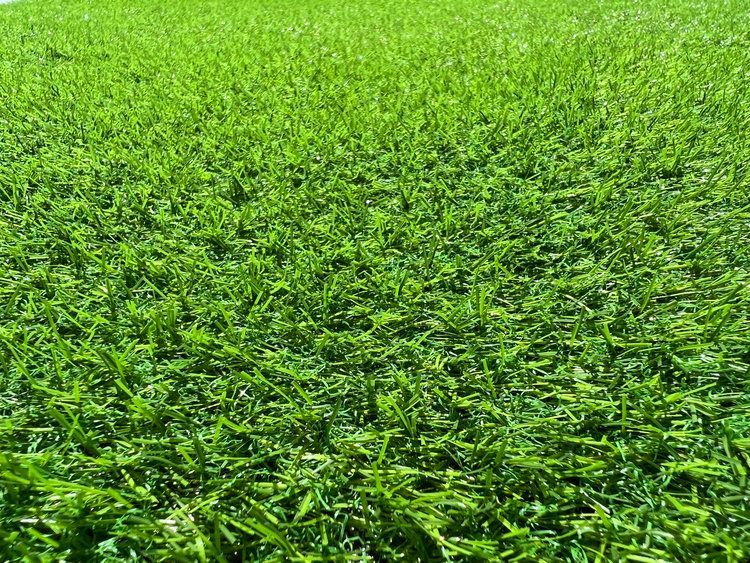 Las Vegas Event Flooring artificial grass samples showing the Lawn Grass selection.