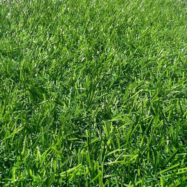 Las Vegas Event Flooring artificial grass samples showing the Lawn Grass selection.