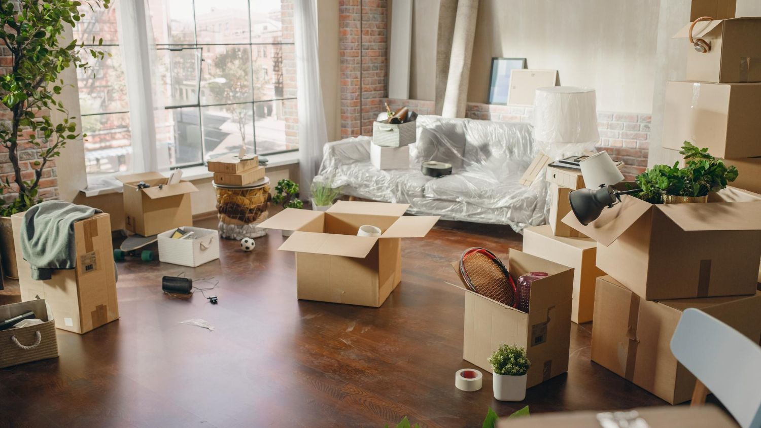 Messy living room with open boxes, packing paper, plants, and furniture being moved or unpacked