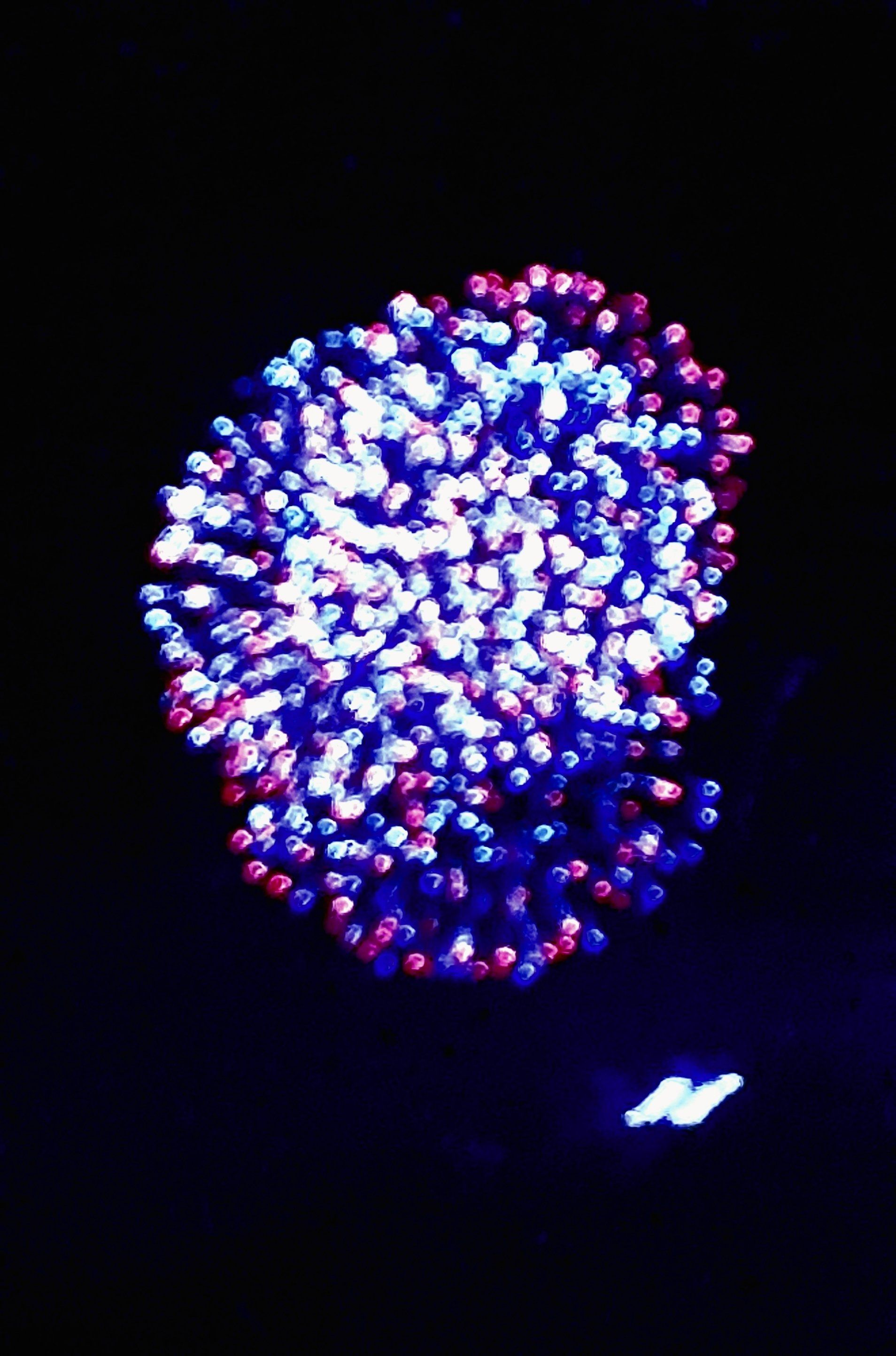 Fireworks exploding in the night sky over  Butte, MT