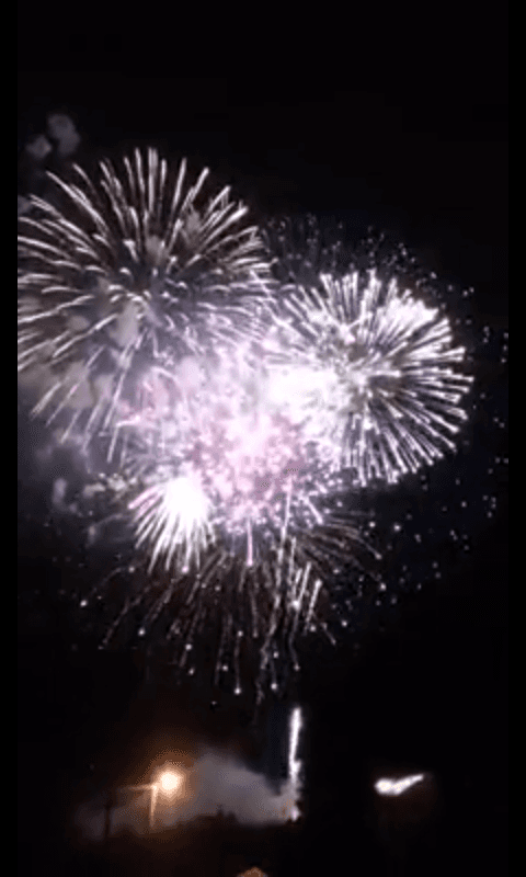 Tanya Lynn Fireworks exploding in the night sky over  Butte, MT