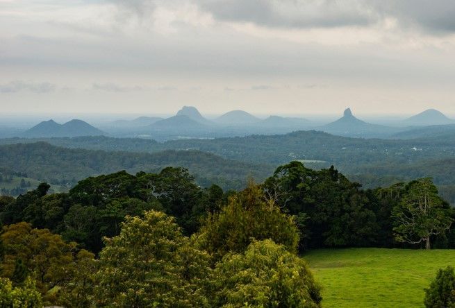 A View of A Lush Green Field with Trees and Mountains in The Background — Docs Mobile Tyre Service In Sunshine Coast, QLD