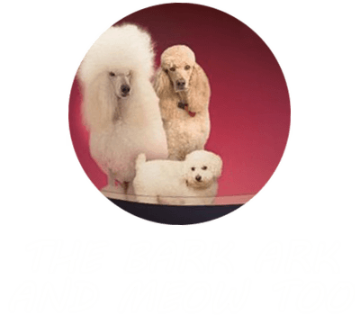 The Bark Ark and  Meow Too  logo