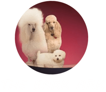 The Bark Ark and  Meow Too  logo