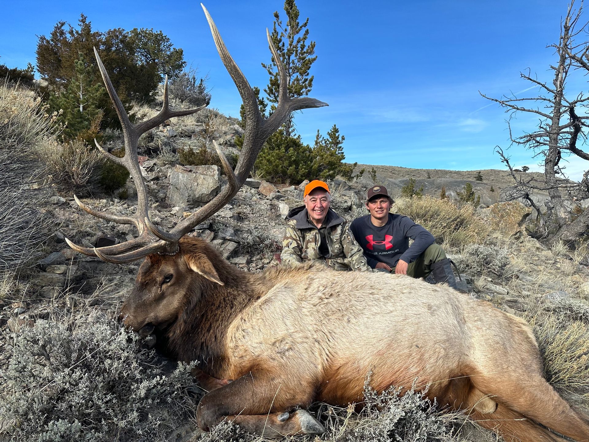 Two men posing with a dead elk
