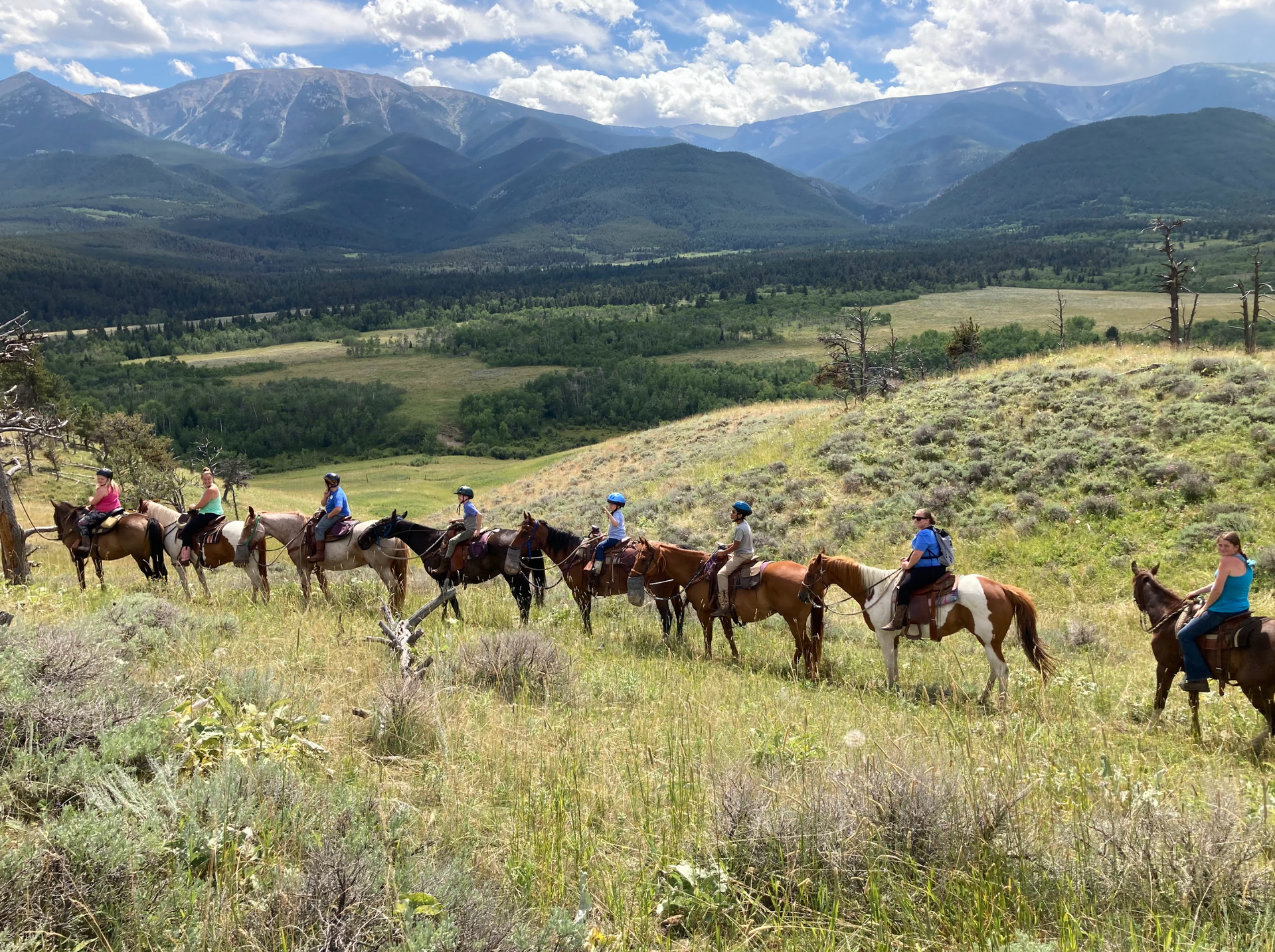 A group of people are riding horses in a field with mountains in the background.