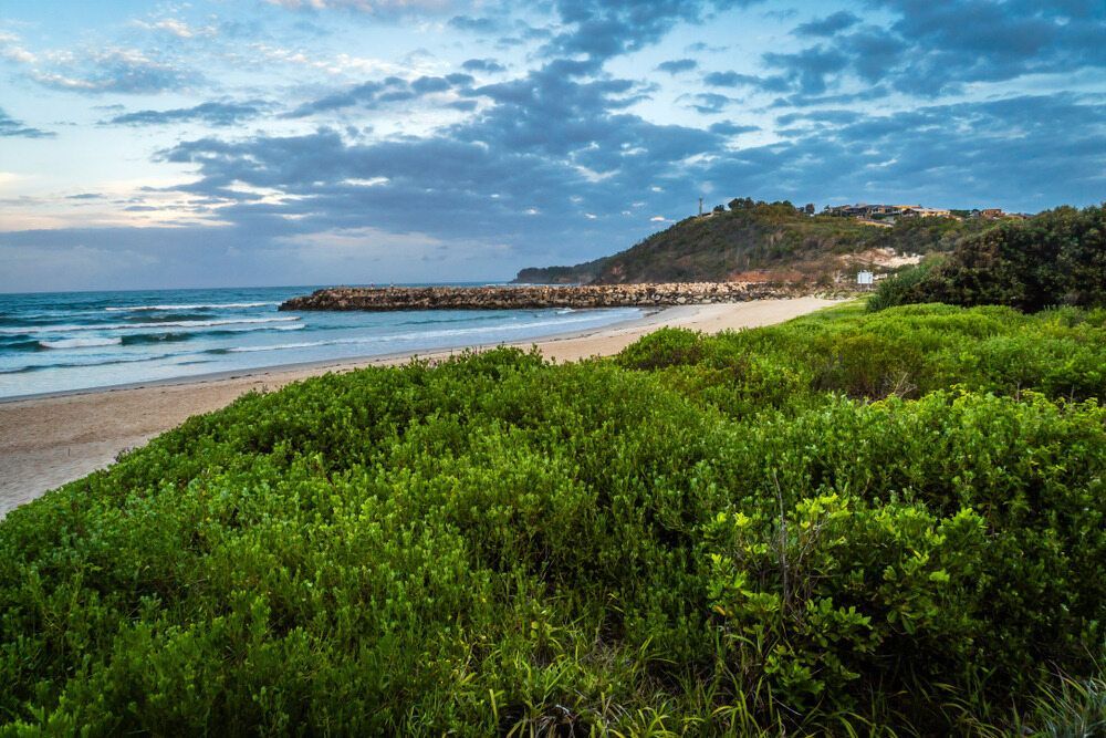 A Beach With A Lot Of Grass And Bushes Surrounding It — Ballina Demolitions In Evans Head, NSW