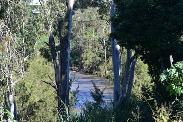 A River Runs Through A Lush Green Forest Surrounded By Trees — Ballina Demolitions In Casino, NSW
