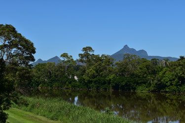 A Lake Surrounded By Trees And Grass — Ballina Demolitions In Murwillumbah, NSW