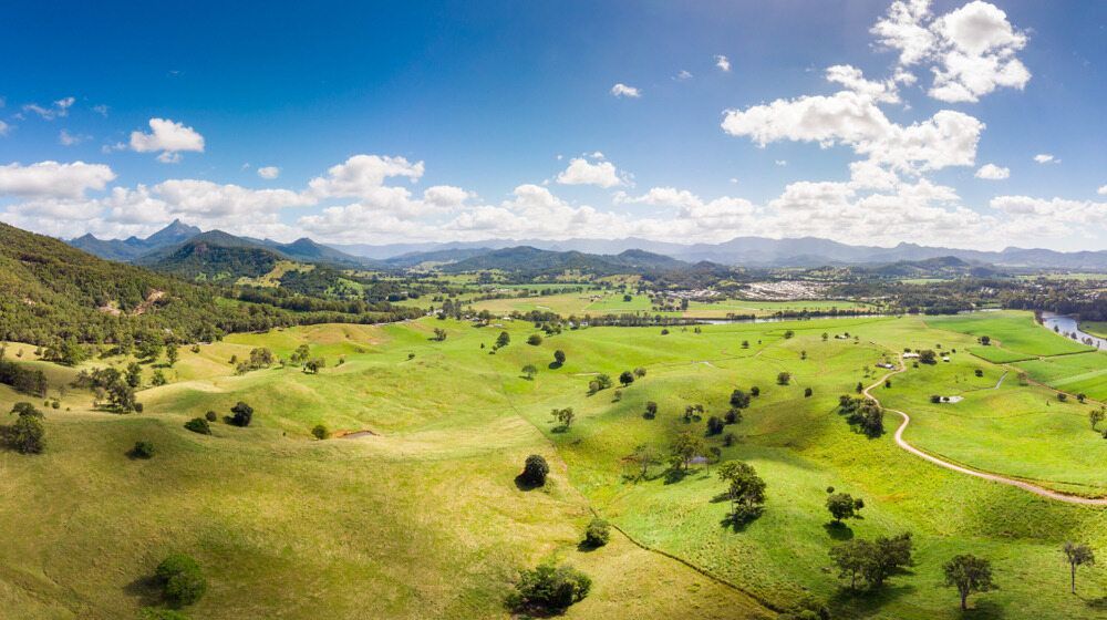 An Aerial View Of A Lush Green Field With Trees — Ballina Demolitions In Murwillumbah, NSW