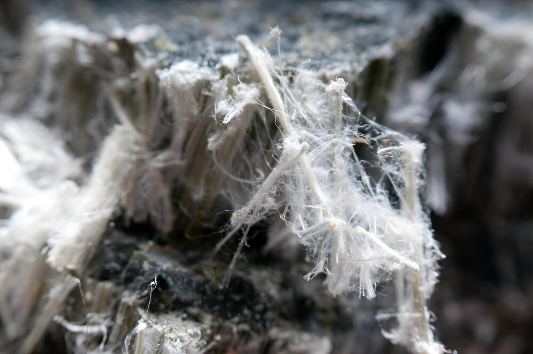 A Close up Of a Piece of Asbestos on A Rock — Ballina Demolitions In Grafton, NSW