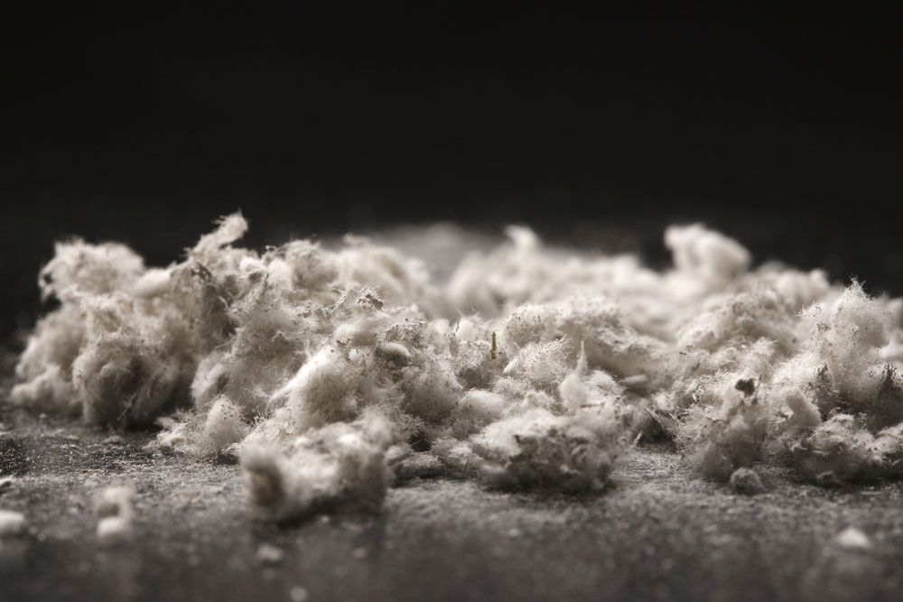 Closeup On Asbestos Particles