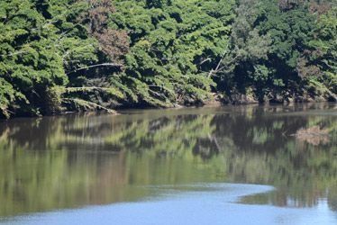 A Lake Surrounded By Trees On A Sunny Day — Ballina Demolitions In Lismore, NSW