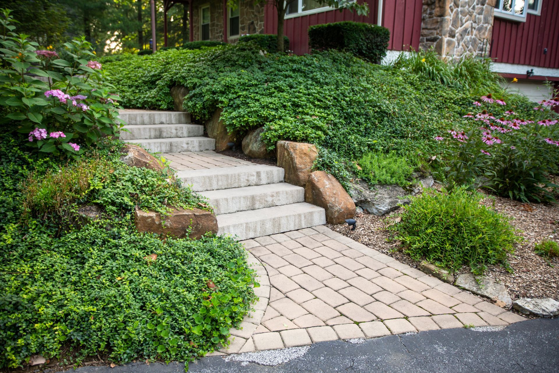A stone walkway with steps leading up to a house surrounded by plants.