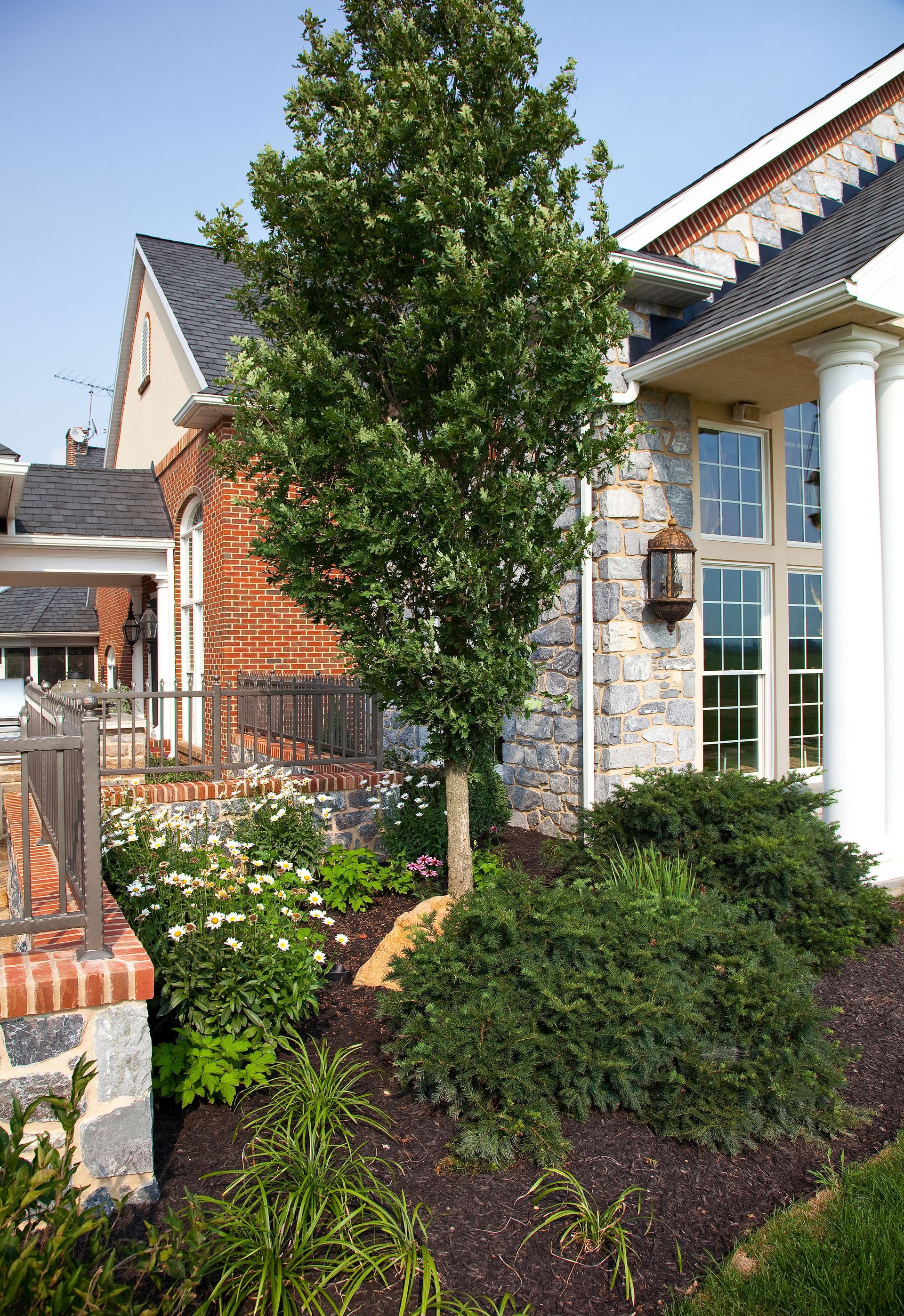 A house with a large tree in front of it