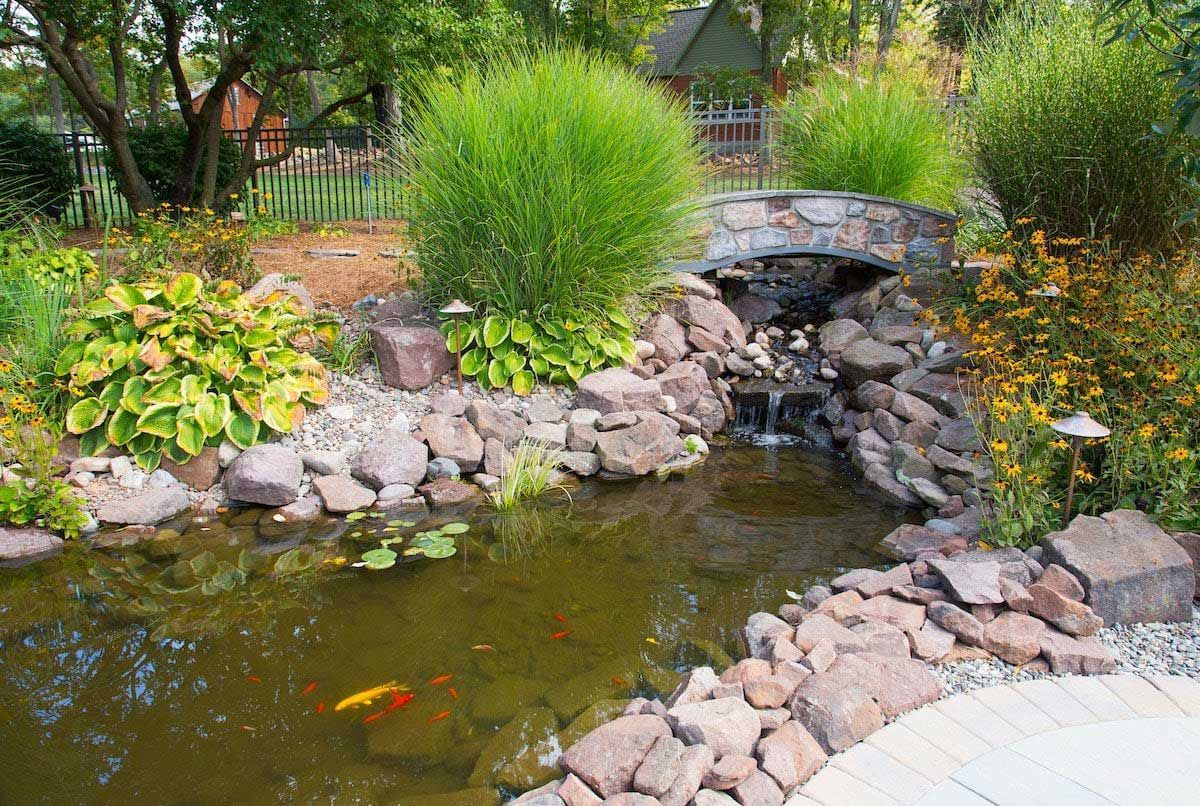 A pond with fish and a waterfall in the middle of a garden.