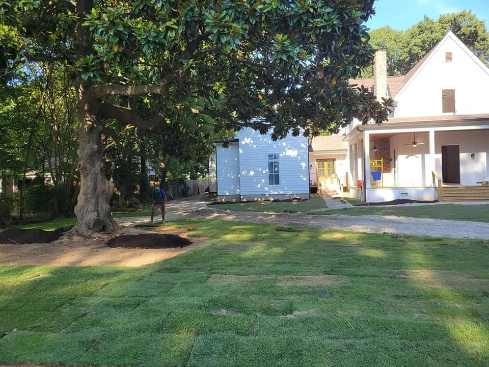 Lawn with freshly laid sod, large tree, person working in yard, and two houses in the background.