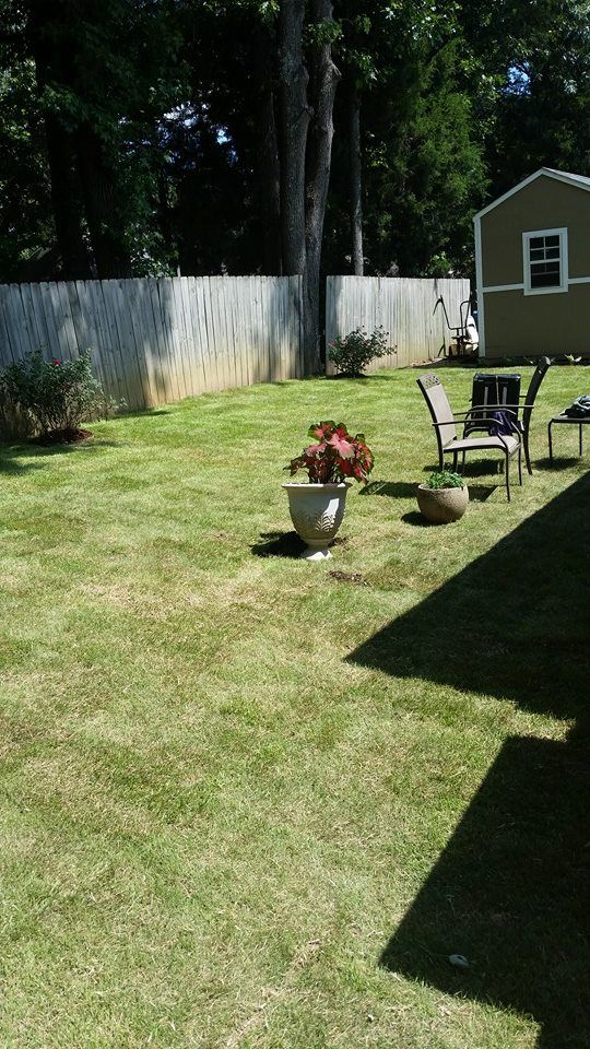 A well-manicured backyard with a white fence, potted plants, and seating under a blue sky.