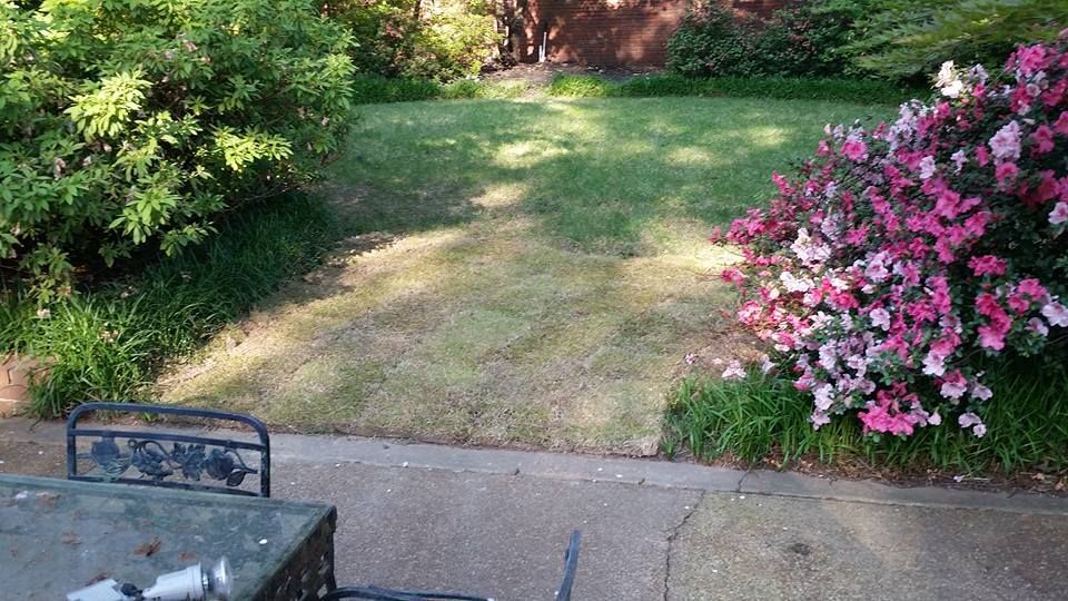 Green lawn bordered by bushes and flowers, partially shaded, with a patio table in the foreground.