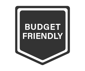 Budget Friendly badge, black background with white text and border.