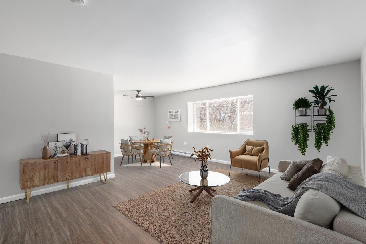 Open-concept living room with sofa, coffee table, and dining area.