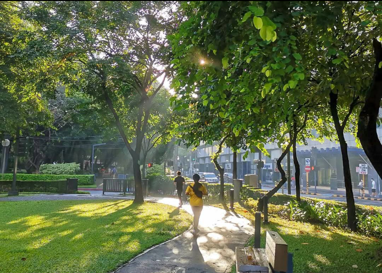 Sunny tree-lined park walkway near Greenbelt Makati with pedestrians