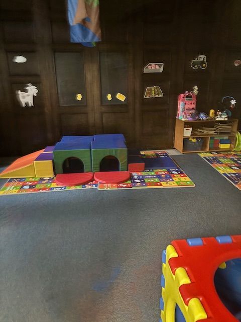A room with a lot of toys on the floor and a rug.