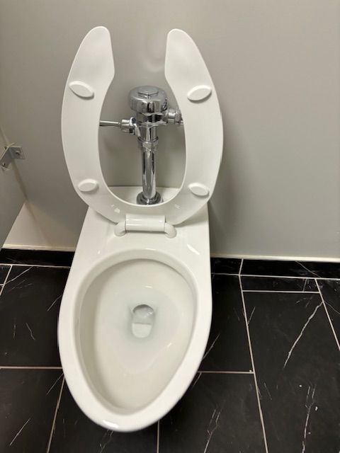 A white toilet with the seat up in a bathroom