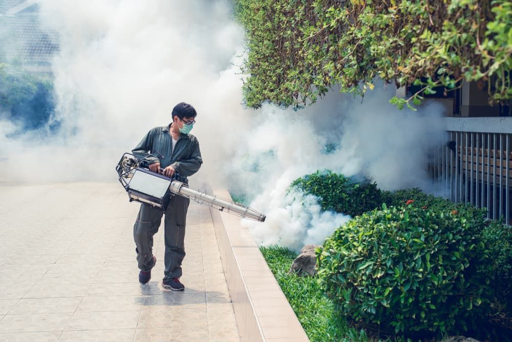 Mosquito Treatment — Brazel's Pest Control in Macksville, NSW
