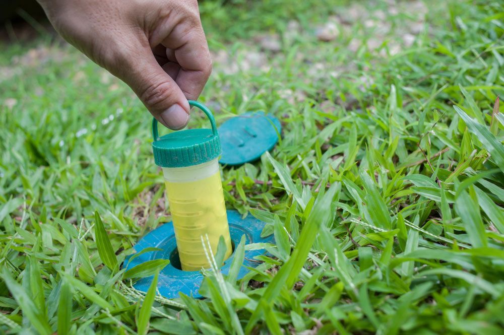 System For Anti Termite Baiting — Brazel's Pest Control in Dorrigo, NSW
