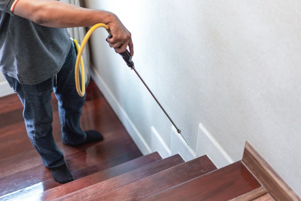 Spraying Chemical on Stairs — Brazel's Pest Control in Coffs Harbour, NSW