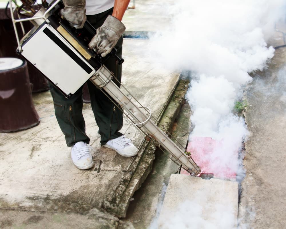 Fogging The Drain — Brazel's Pest Control in Nambucca, NSW
