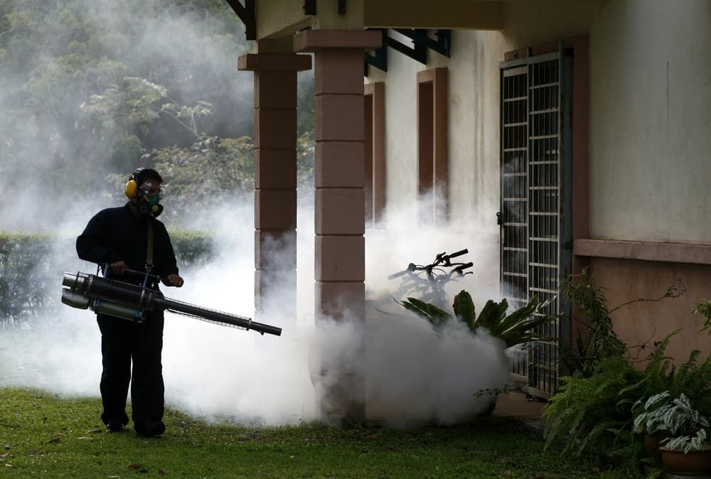 House Fogging — Brazel's Pest Control in Grafton, NSW