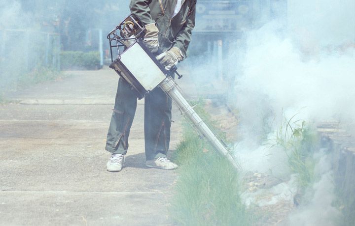 Man Work Fogging To Eliminate Mosquito — Brazel's Pest Control in Bellingen, NSW